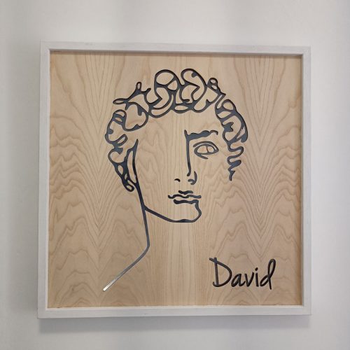 david6